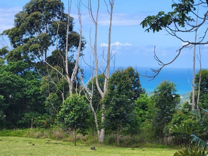 A scenic view of the ocean framed by lush greenery and mature trees, overlooking a well-maintained lawn area.