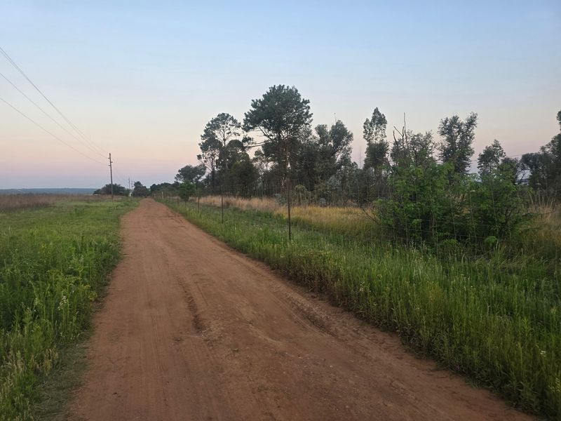 A view of a dirt access road on the farm property, bordered by wire fencing and natural vegetation with utility poles visible.