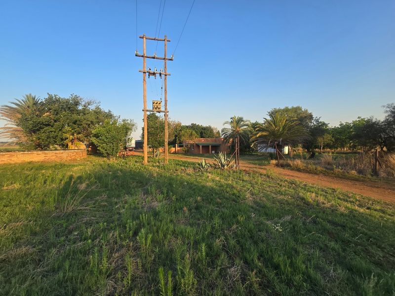 A wide view of the farm property entrance featuring a utility pole, dirt driveway, and established trees under a clear blue sky.