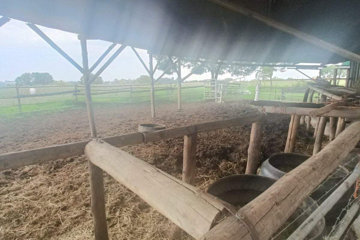 Farm Pending Sale In Rayton - Photo 2