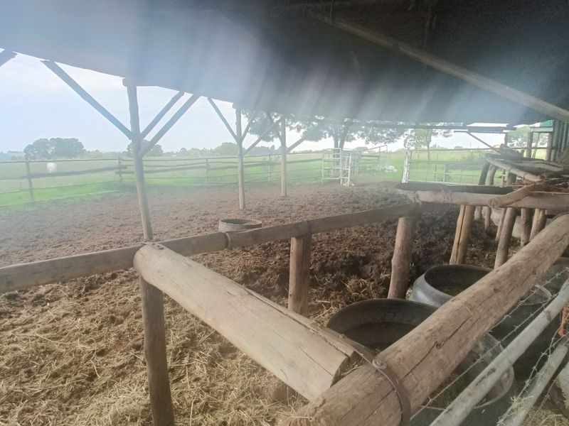 Farm Pending Sale In Rayton - Photo 2