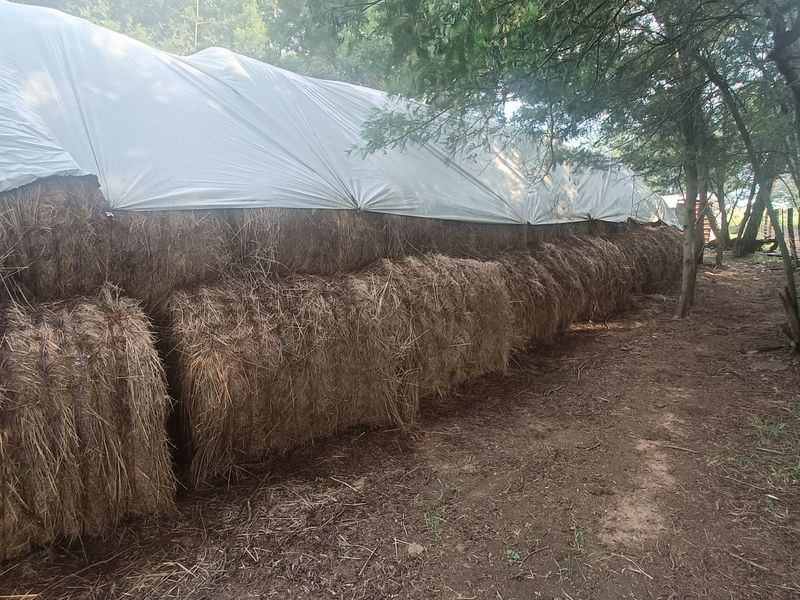 Farm Pending Sale In Rayton - Photo 10