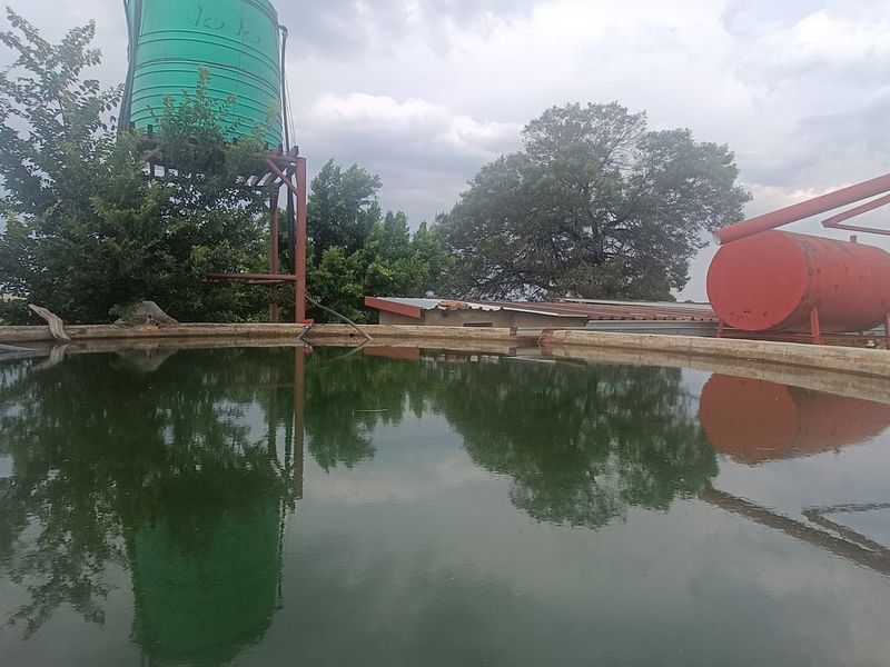 Farm Pending Sale In Rayton - Photo 6