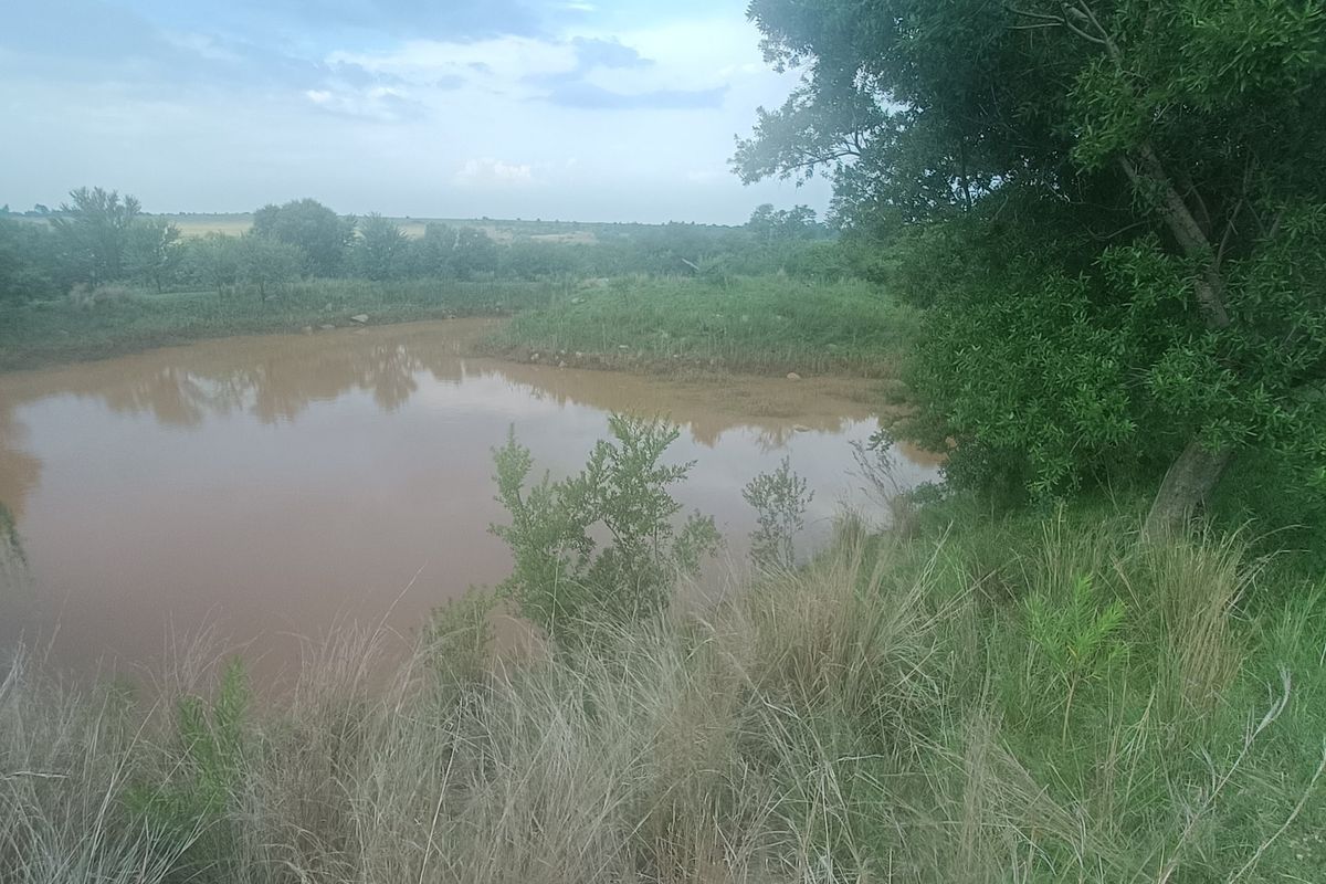 Farm Pending Sale In Rayton - Photo 5