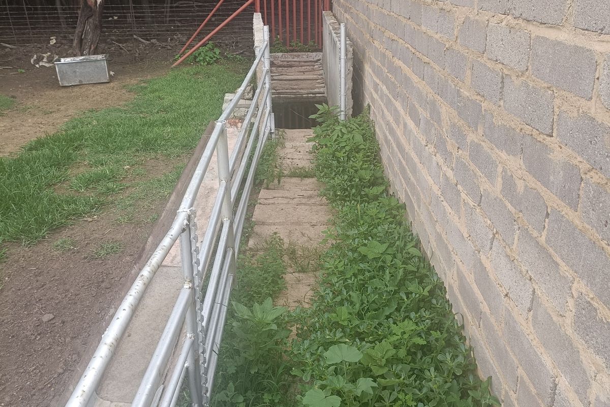 A narrow exterior passage featuring a concrete block boundary wall, metal security gate, and drainage culvert, currently requiring maintenance and vegetation clearing.