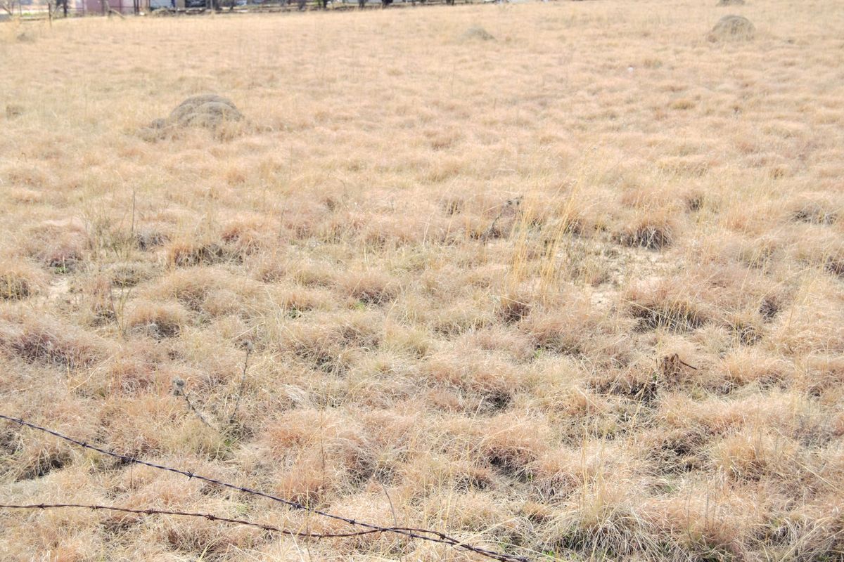 Vacant Land For Sale In Hobhouse - Photo 4