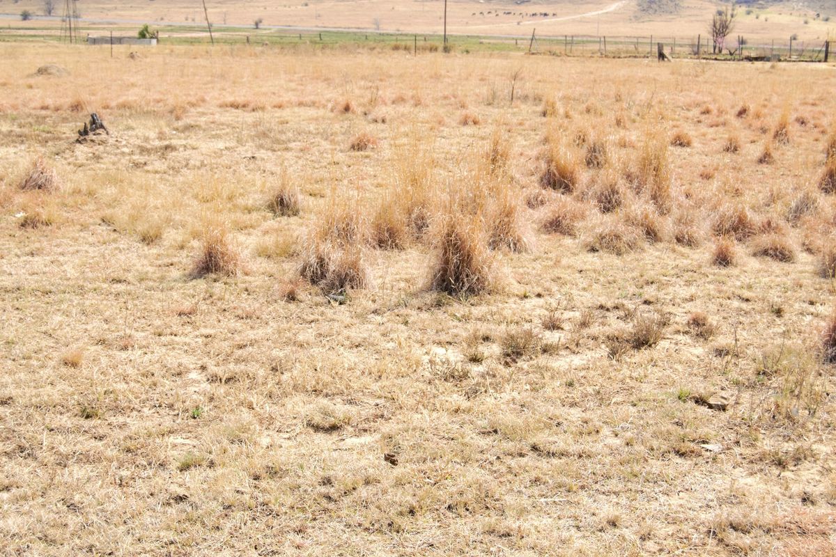 Vacant Land For Sale In Hobhouse - Photo 2