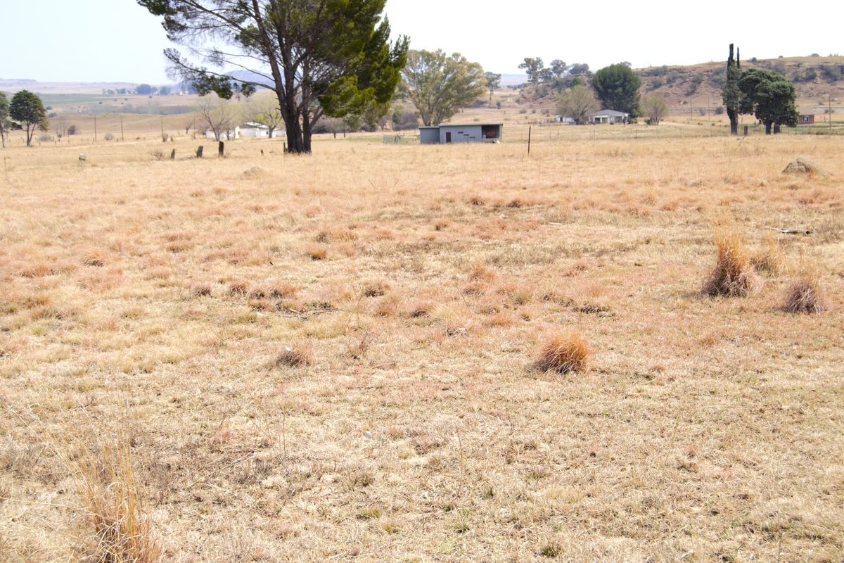 Vacant Land For Sale In Hobhouse - Photo 5