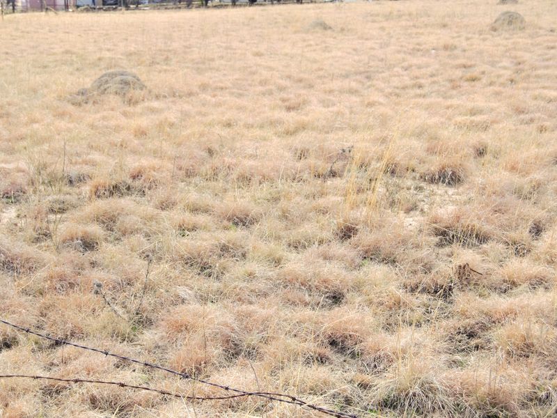 A view of a vacant residential plot featuring dry grass and a perimeter barbed wire fence.