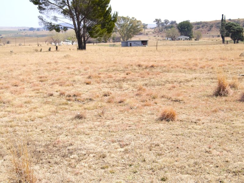 A wide-angle view of a large, open residential vacant land plot featuring dry grass, mature trees, and perimeter fencing.