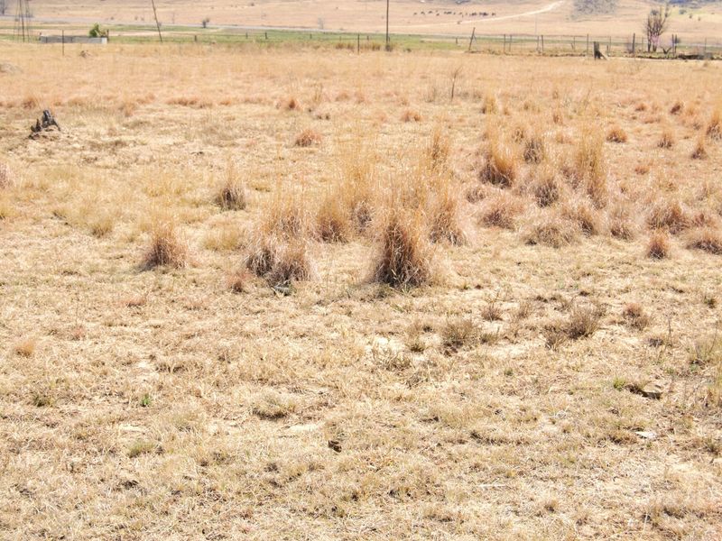 An expansive, undeveloped residential plot featuring dry natural grassland and perimeter wire fencing, offering a blank canvas for future development.