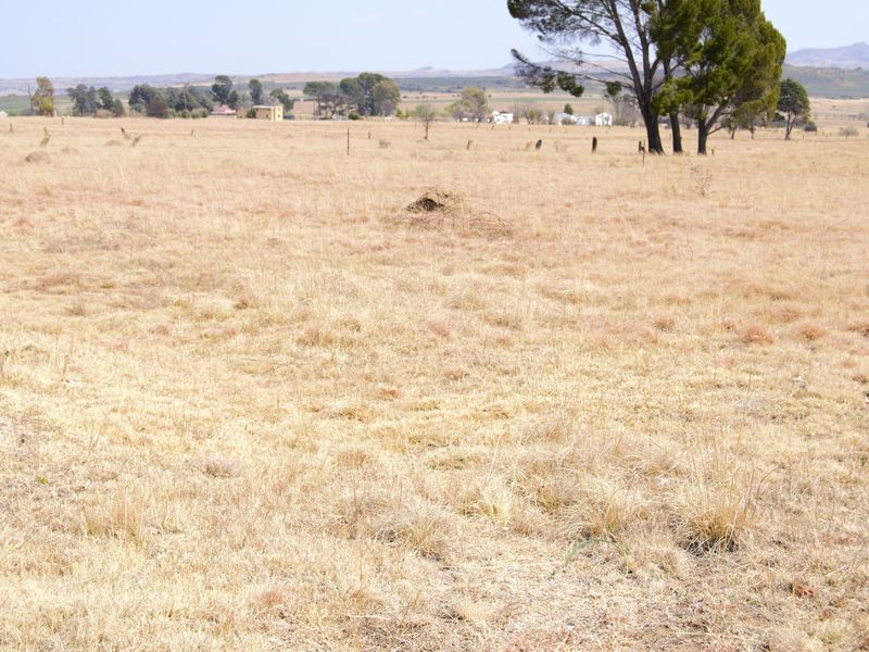 A wide-angle view of a large, open residential vacant land plot featuring dry grass and mature trees in the distance.
