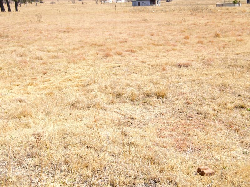 A wide-angle view of a vacant residential land plot featuring dry grass and distant fencing.