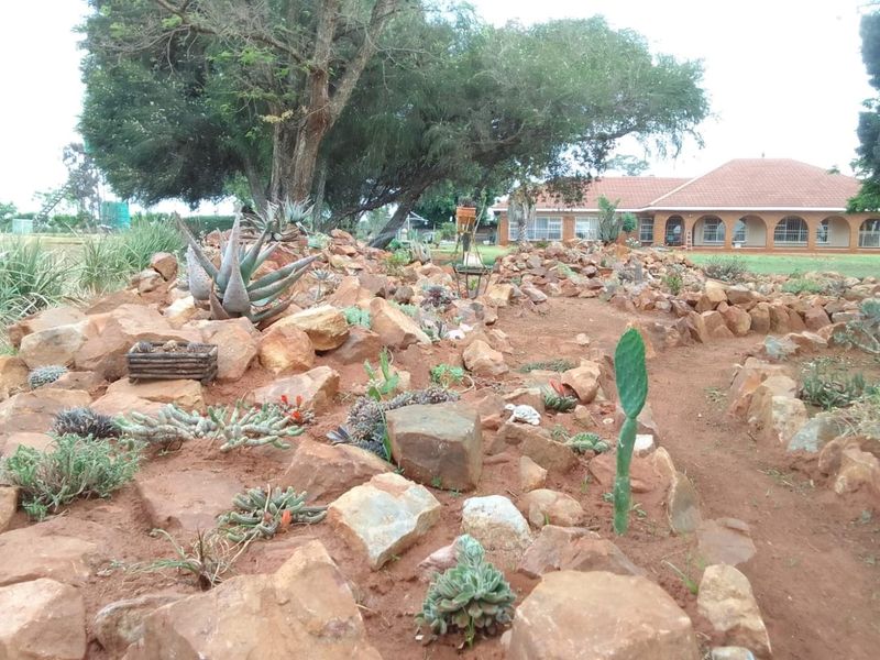 Farm For Sale In Randfontein - Photo 9