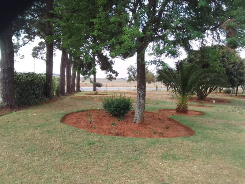 Farm For Sale In Randfontein - Photo 7