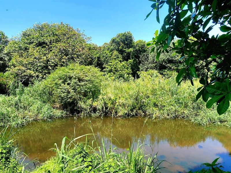 Commercial For Sale In Port Shepstone - Photo 9