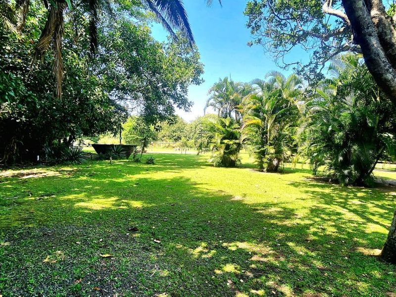 Commercial For Sale In Port Shepstone - Photo 4