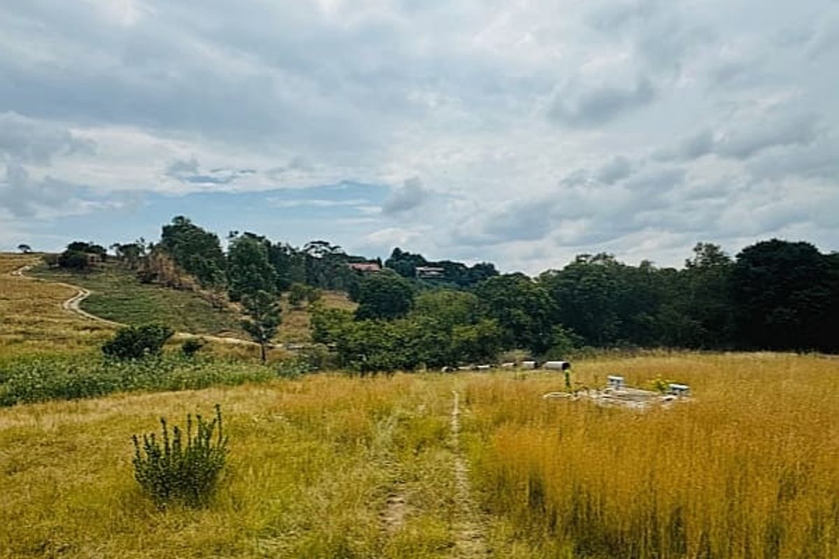 Commercial For Sale In Randburg - Photo 5