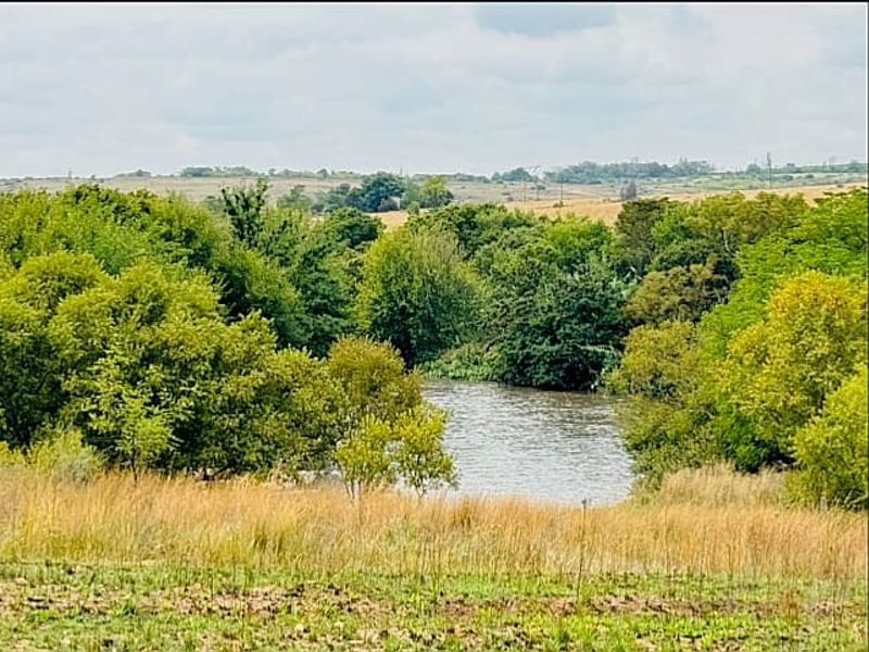 A scenic view of a natural river flowing through lush green vegetation and open landscape.