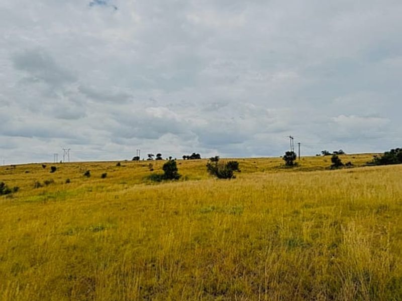 An expansive view of open, undeveloped grassland with visible power lines stretching across the horizon under a cloudy sky.