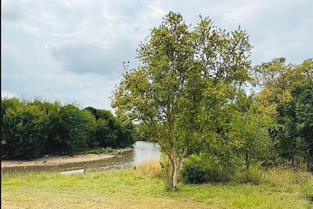 A scenic view of the river frontage featuring mature trees and natural grassland, providing a peaceful outdoor setting.