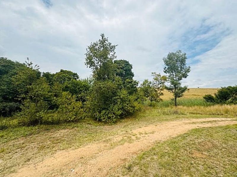An open outdoor area featuring a dirt track, natural grassland, and mature trees, suitable for development or recreational use.
