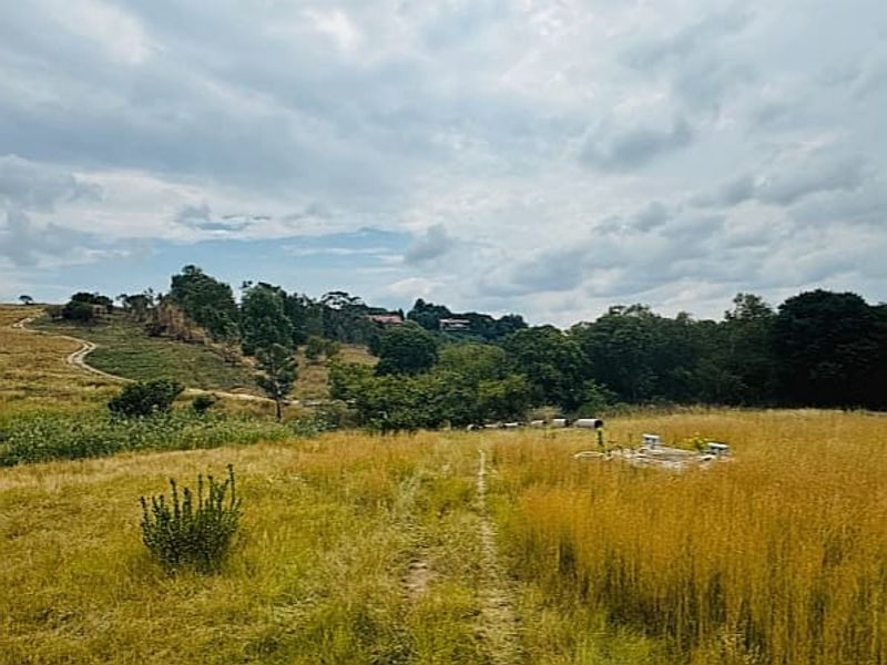 A wide-angle view of an expansive, undeveloped plot of land featuring natural grasses, trees, and a dirt access path under a cloudy sky.