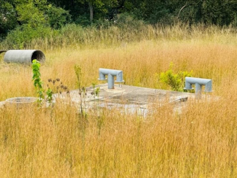 An outdoor utility area featuring a concrete slab with ventilation pipes, surrounded by overgrown grass and vegetation.