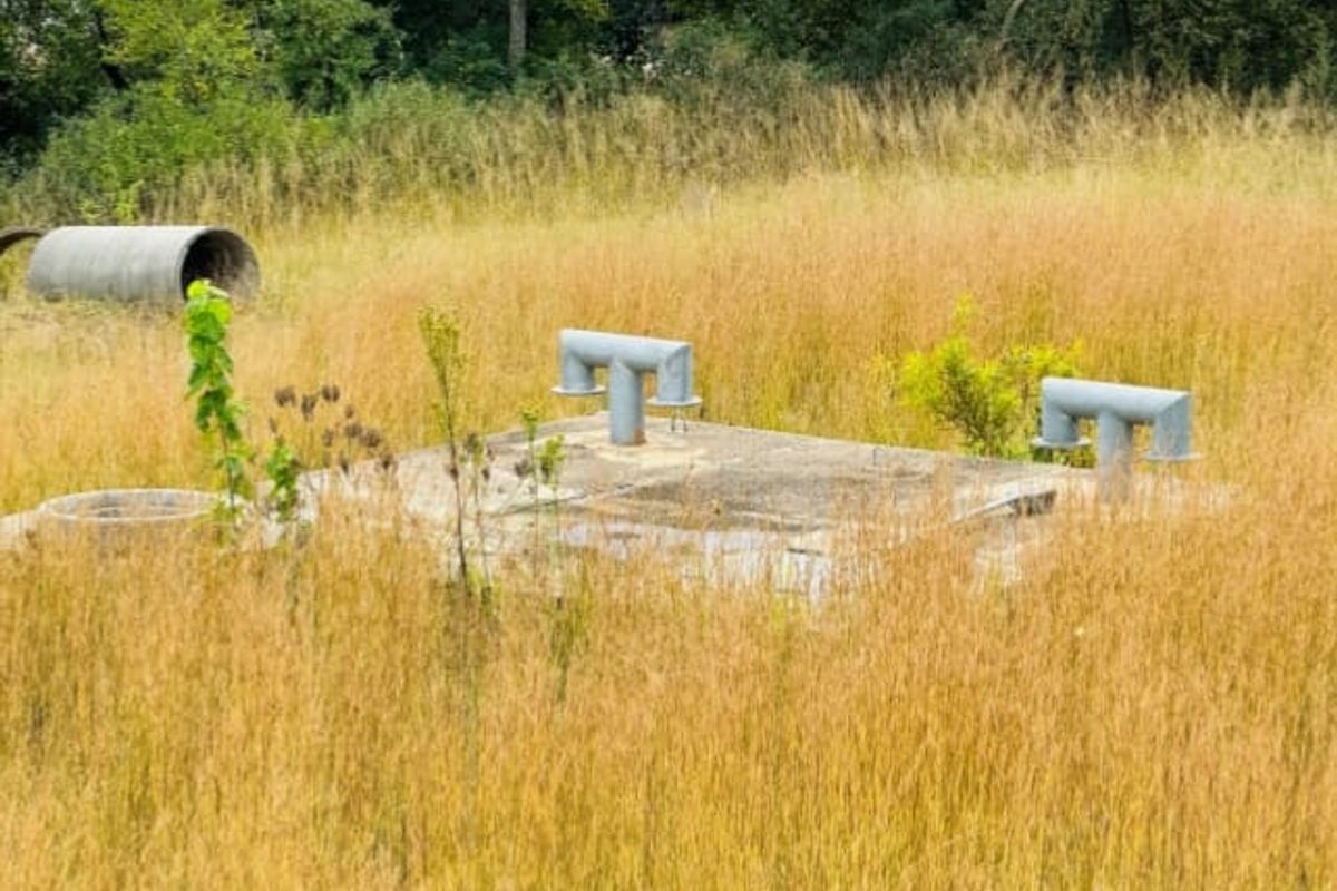An outdoor utility area featuring a concrete slab with ventilation pipes, surrounded by overgrown grass and vegetation.