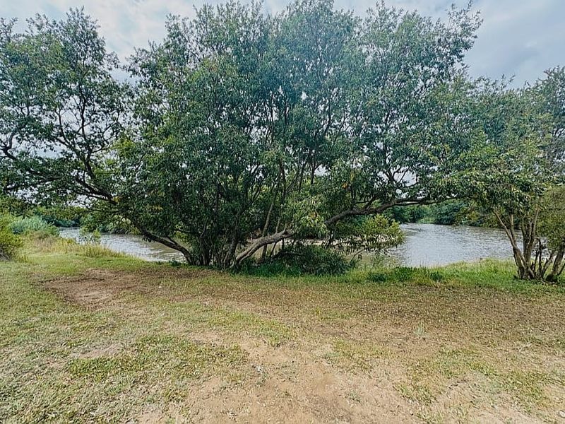 A scenic view of the river frontage featuring mature trees and natural landscaping, providing a tranquil outdoor setting.