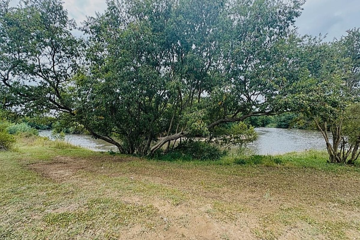A scenic view of the river frontage featuring mature trees and natural landscaping, providing a tranquil outdoor setting.