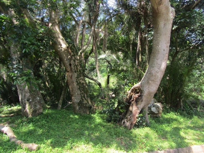 Vacant Land For Sale In Amanzimtoti - Photo 1