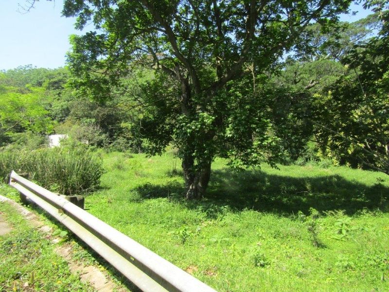 Vacant Land For Sale In Amanzimtoti - Photo 7