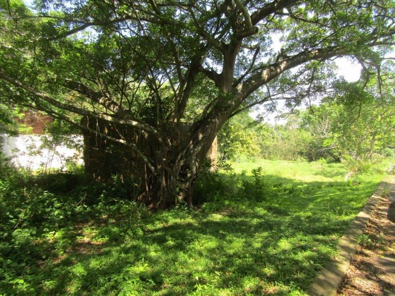 Vacant Land For Sale In Amanzimtoti - Photo 6