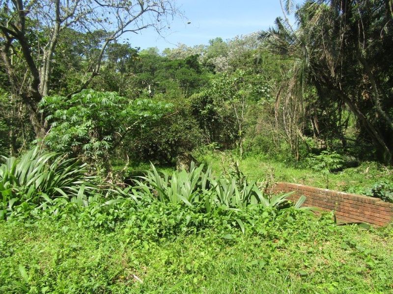 Vacant Land For Sale In Amanzimtoti - Photo 9