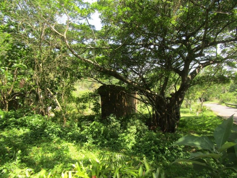 Vacant Land For Sale In Amanzimtoti - Photo 2