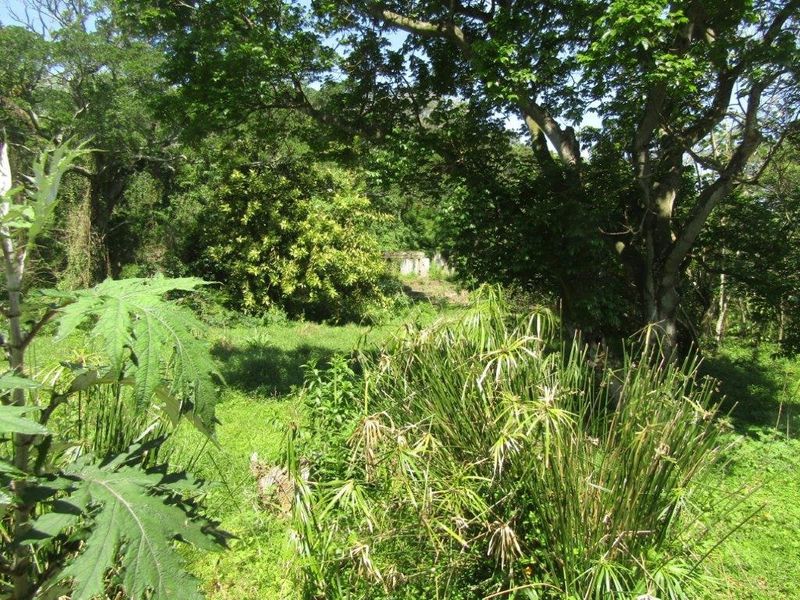 Vacant Land For Sale In Amanzimtoti - Photo 3