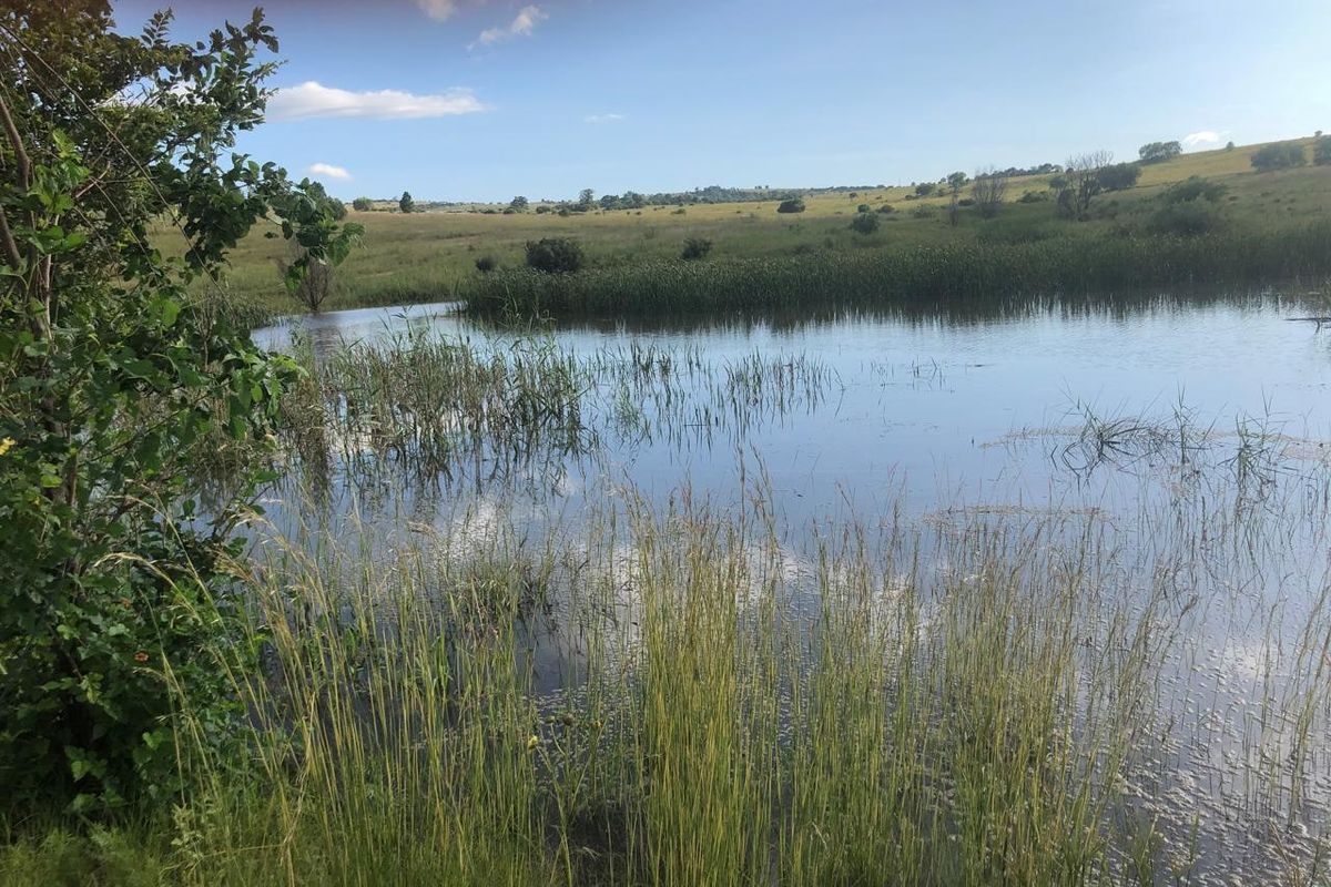 Commercial For Sale In Centurion - Photo 4