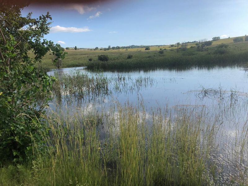 Commercial For Sale In Centurion - Photo 4