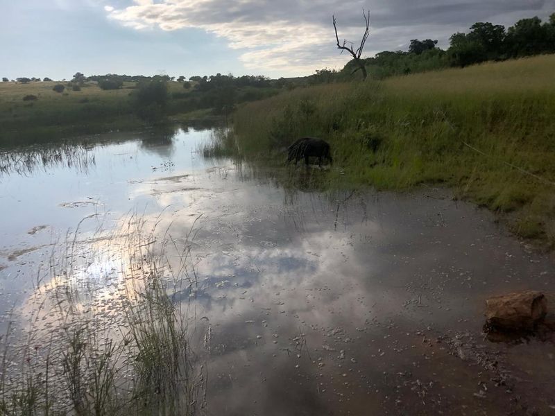 Commercial For Sale In Centurion - Photo 7