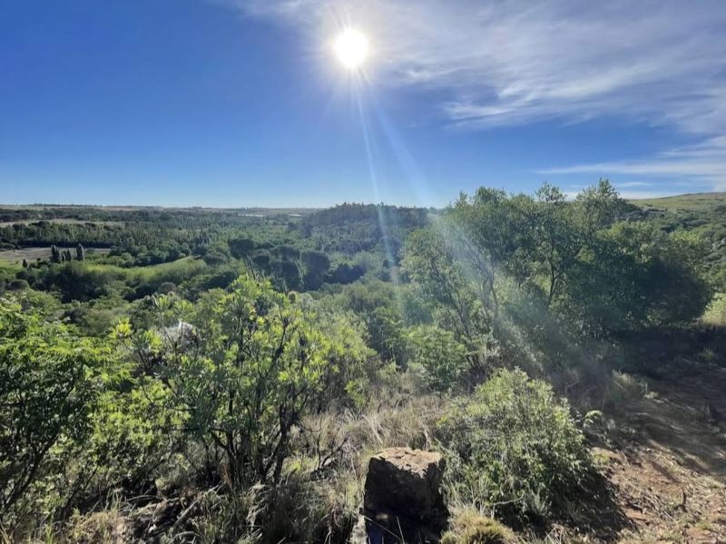 Commercial For Sale In Krugersdorp - Photo 8