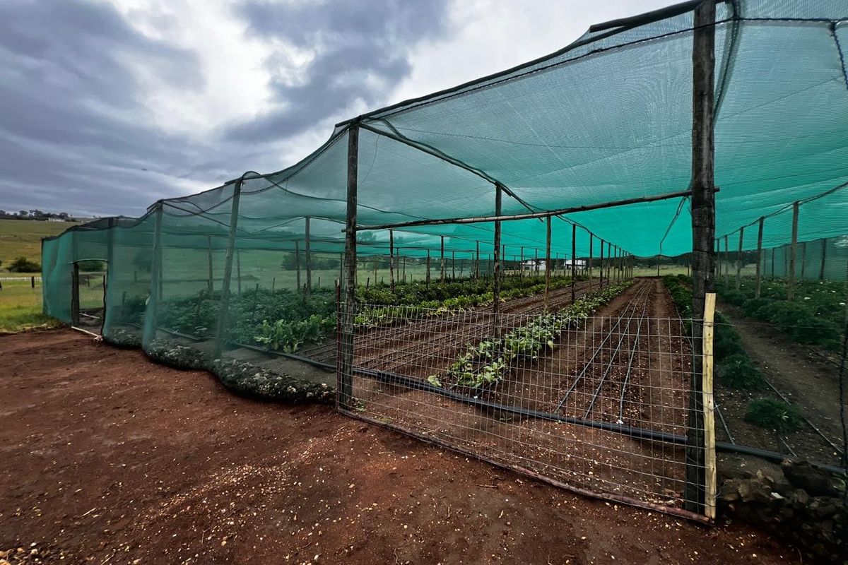 Commercial For Sale In Centurion - Photo 2