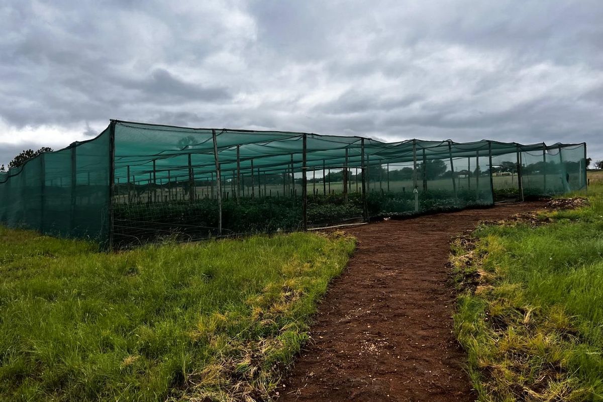 Commercial For Sale In Centurion - Photo 3