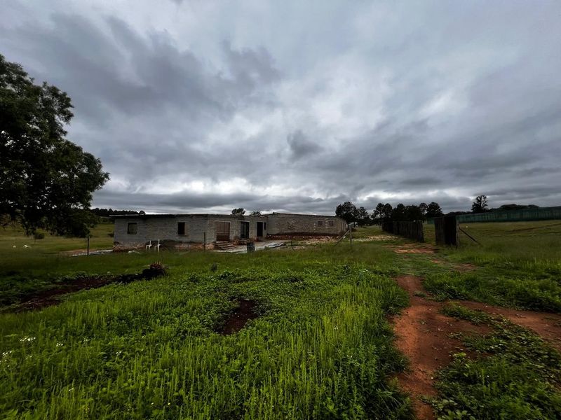 A wide-angle view of a single-story commercial building structure set on a large, undeveloped plot of land with natural vegetation.