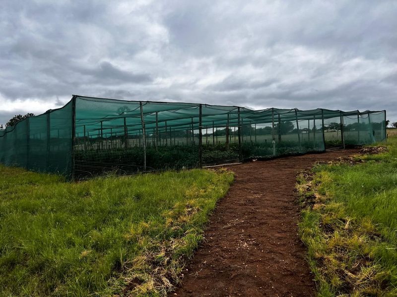 An outdoor agricultural area featuring a large shade netting structure and a dirt pathway leading towards the cultivation zone.