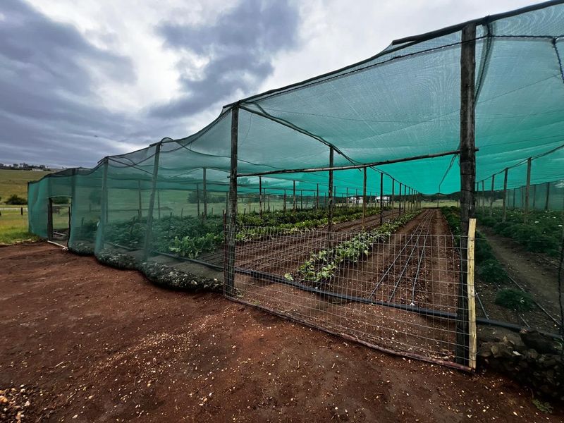 Commercial agricultural garden area featuring extensive shade netting structures, timber support posts, wire mesh fencing, and integrated irrigation systems for crop cultivation.