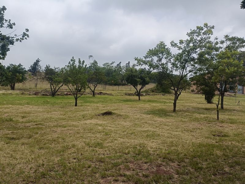 Farm For Sale In Cullinan - Photo 6