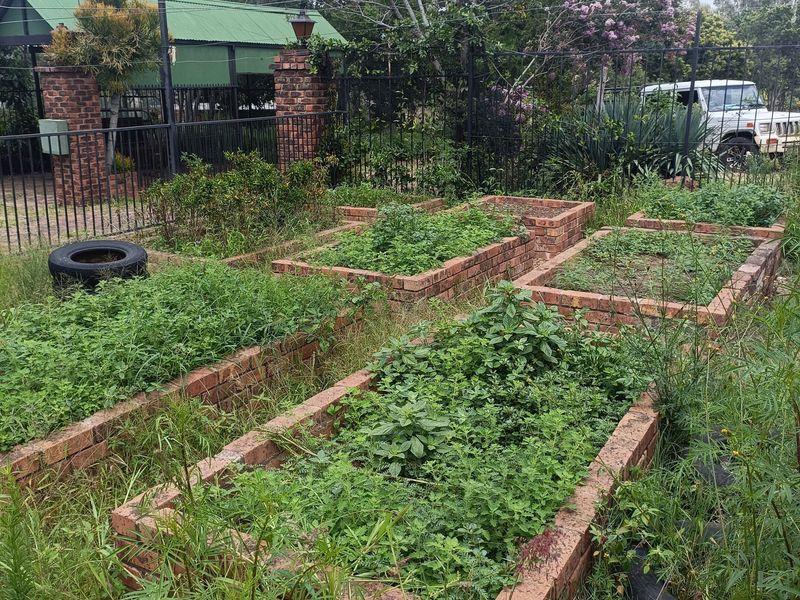 Farm For Sale In Cullinan - Photo 3