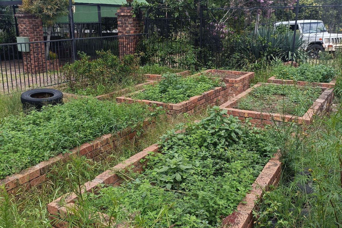 Farm For Sale In Cullinan - Photo 3