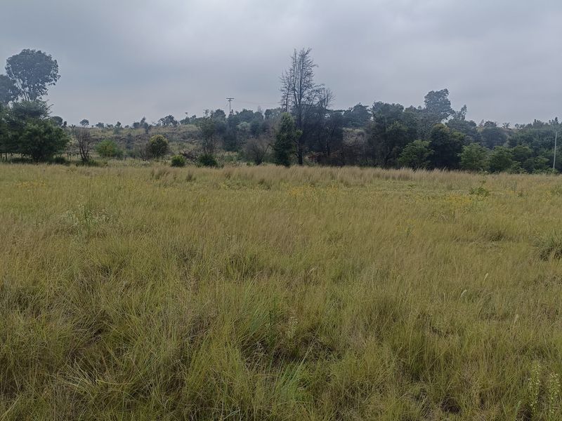 Farm For Sale In Cullinan - Photo 5